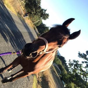 Meet your Posher, Katelynn